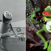 Kermit The Frog Archives D