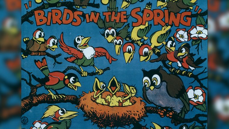 Birds in the Spring