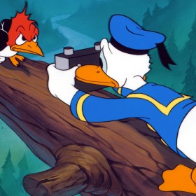 Donald Duck and a woodpecker in the animated feature Donald's Camera