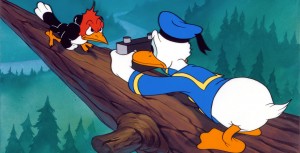 Donald Duck and a woodpecker in the animated feature Donald's Camera