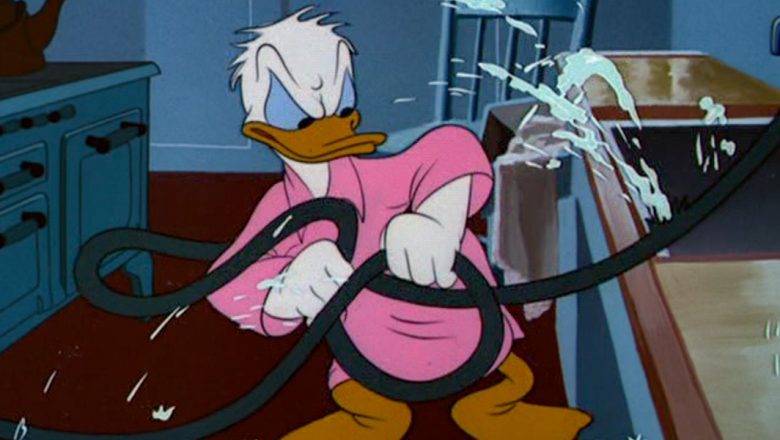 Donald Duck in Drip Dippy Donald