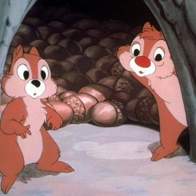 Chip and Dale in Winter Storage