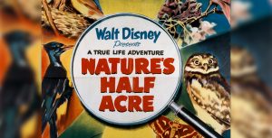 Nature's Half Acre