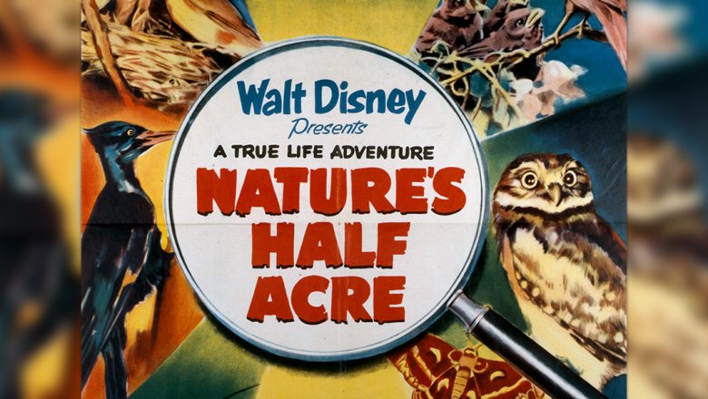 Nature's Half Acre