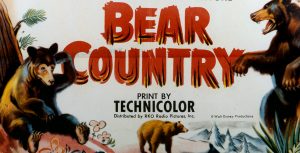 Bear Country