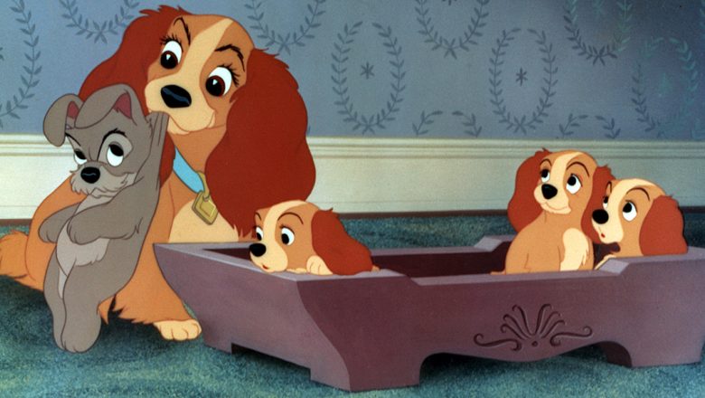 Lady and the Tramp is Released - D23