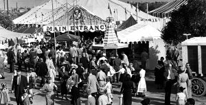 Mickey Mouse Club Circus