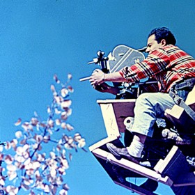 photo of cameraman high up in the air on a crane filming a squirrel that is clinging to a sapling