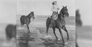 The Horse of the West