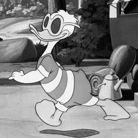 Donald Duck in Duck Flies Coop