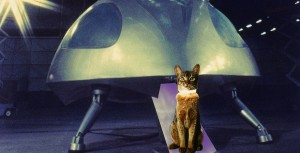 The Cat From Outer Space