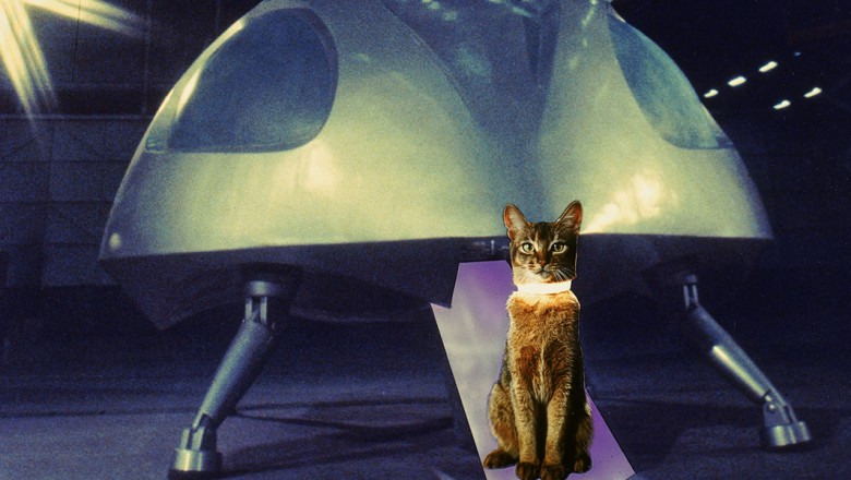 The Cat From Outer Space