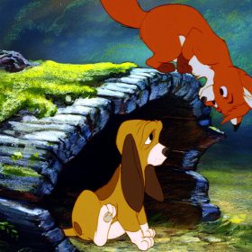 The Fox and the Hound