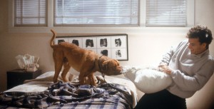Turner and Hooch