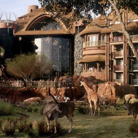 Disney's Animal Lodge