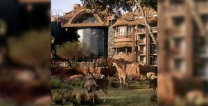 Disney's Animal Lodge