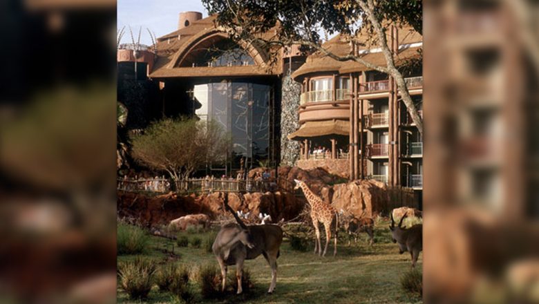 Disney's Animal Lodge