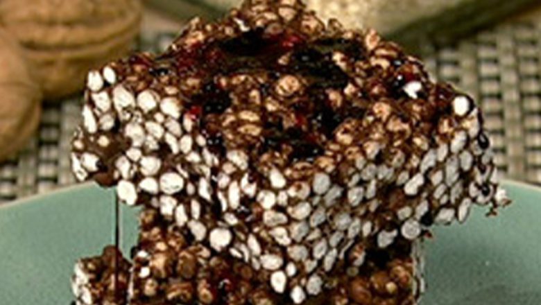 Recipe for Not-For-Dogs Chocolate Squares