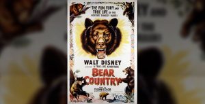 Bear Country