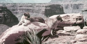 Grand Canyon