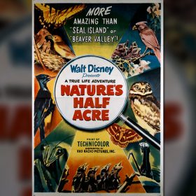 Nature's Half Acre