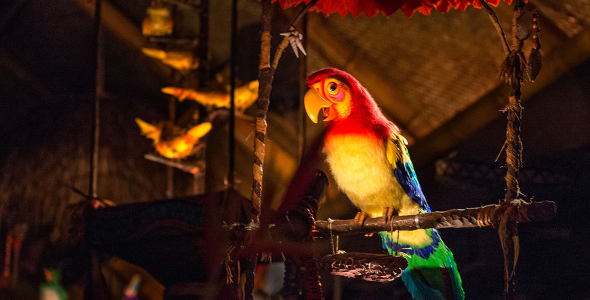 The Tiki Room Celebrates 50 Years D23