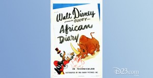 poster one-sheet of movie African Diary