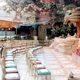 photo of Aladdin's Oasis