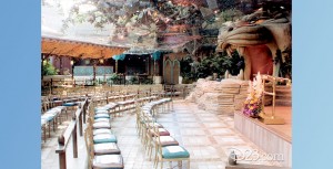 photo of Aladdin's Oasis