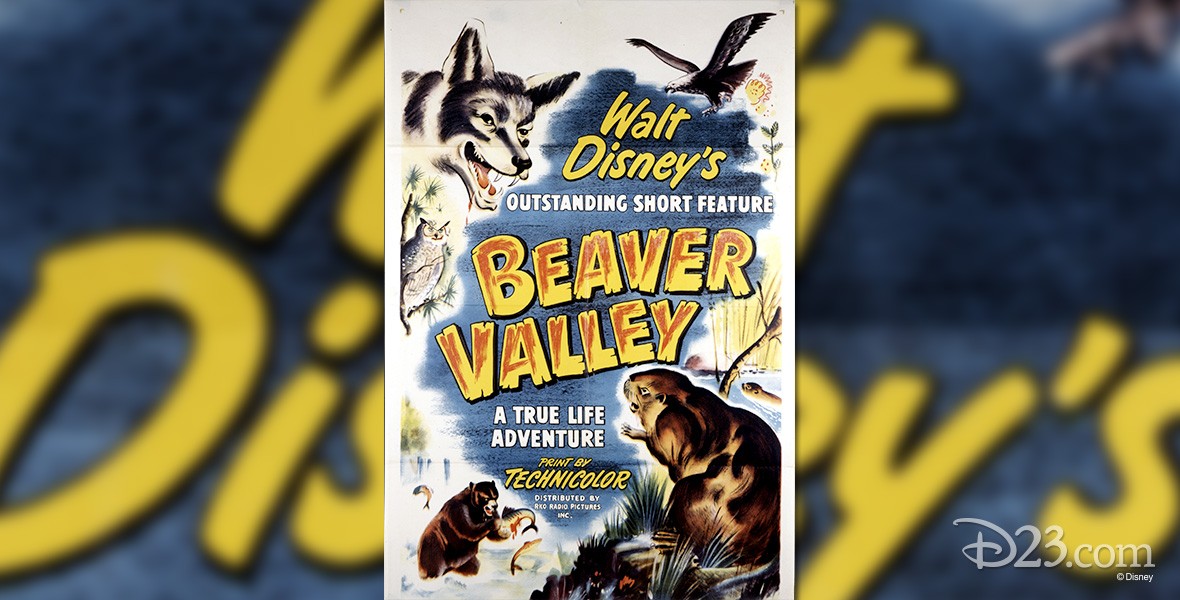 one-sheet movie poster for Beaver Valley, a true life adventure