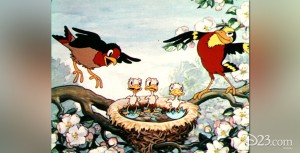 Birds in the Spring