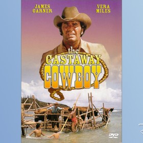 poster for movie The Castaway Cowboy