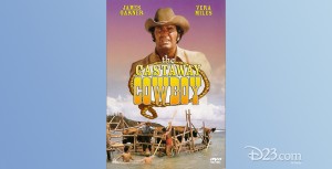 poster for movie The Castaway Cowboy