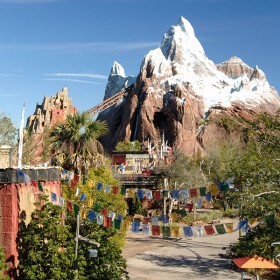 photo of Expedition Everest attraction in Disney's Animal Kingdom