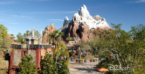 photo of Expedition Everest attraction in Disney's Animal Kingdom