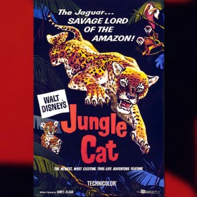 one-sheet movie poster for Jungle Cat