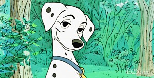 Photo of Disney's Perdita