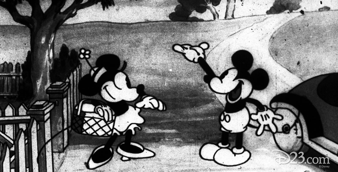 Photo of Mickey and Minnie in Picnic the Film