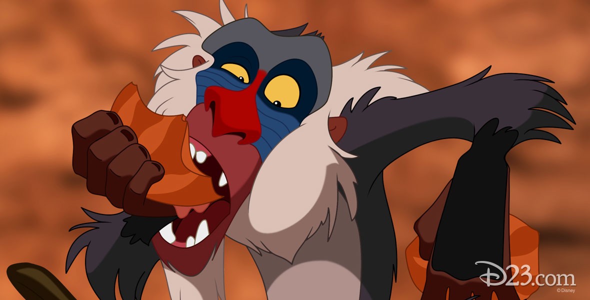Disney Character Rafiki from the Lion King