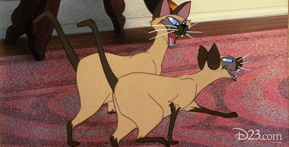 Photo of Si and Am The mean Siamese cats owned by Aunt Sarah in Lady and the Tramp