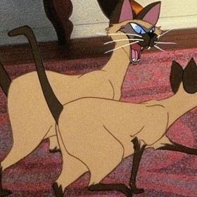 Photo of Si and Am The mean Siamese cats owned by Aunt Sarah in Lady and the Tramp