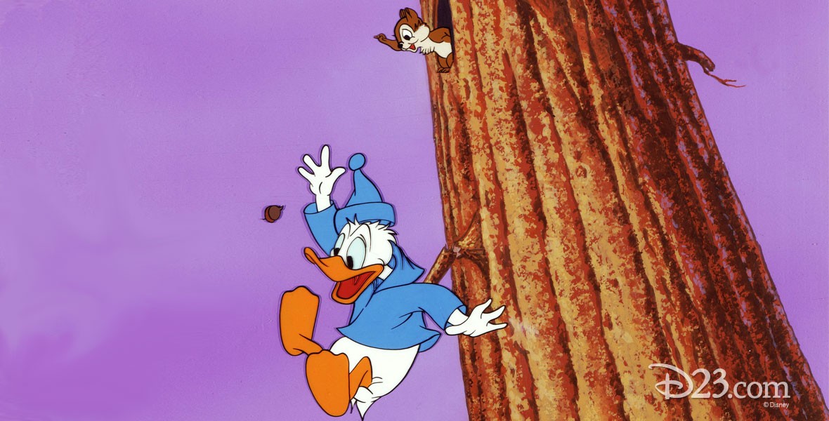 Donald Duck in Up A Tree