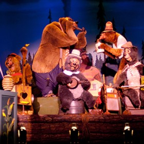 photo of musician bears on stage playing their instruments