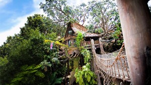 Disneyland Tarzan's Treehouse