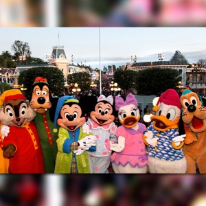 group photo of characters in costume including Disney's Chip, Dale, Goofy, Mickey, Minnie, Daisy, Donald, Pluto all in a line at Disneyland