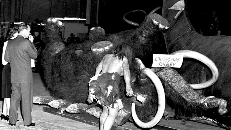 photo of giant Mammoth legs in the air, marked with a sign Christmas Turkey and a life-size cave man figure standing near it