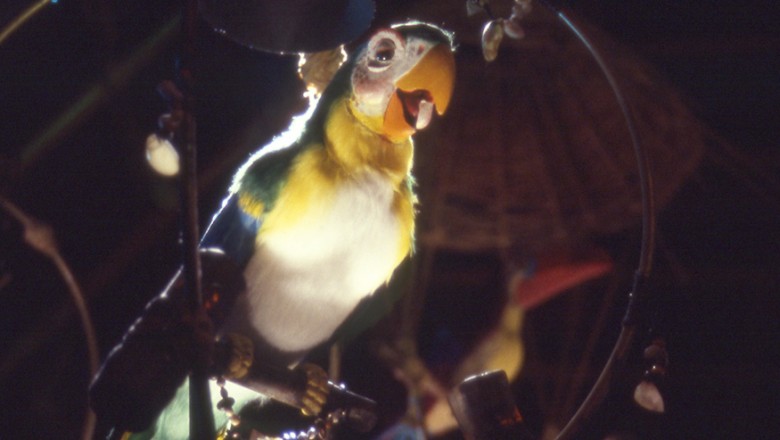 photo of bright green, yellow, and cream colored parrot