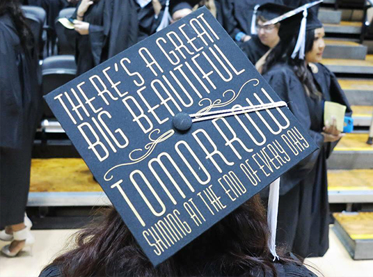 Pomp and CircumFANce Disney Fan Graduation Caps D23