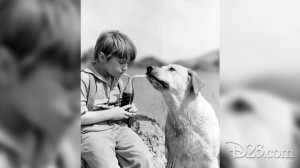 Kevin Corcoran with dog