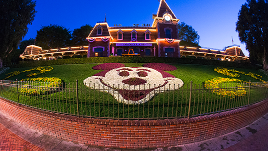 photo of the Mickey Mouse flower portrait garden at Disneyland